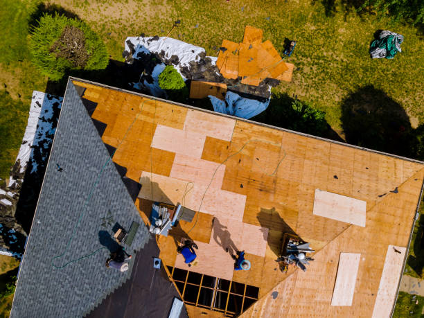 Best Storm Damage Roof Repair  in Grayslake, IL