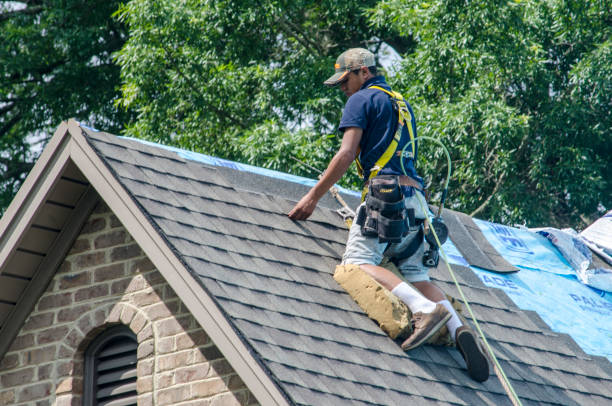 Quick and Trustworthy Emergency Roof Repair Services in Grayslake, IL